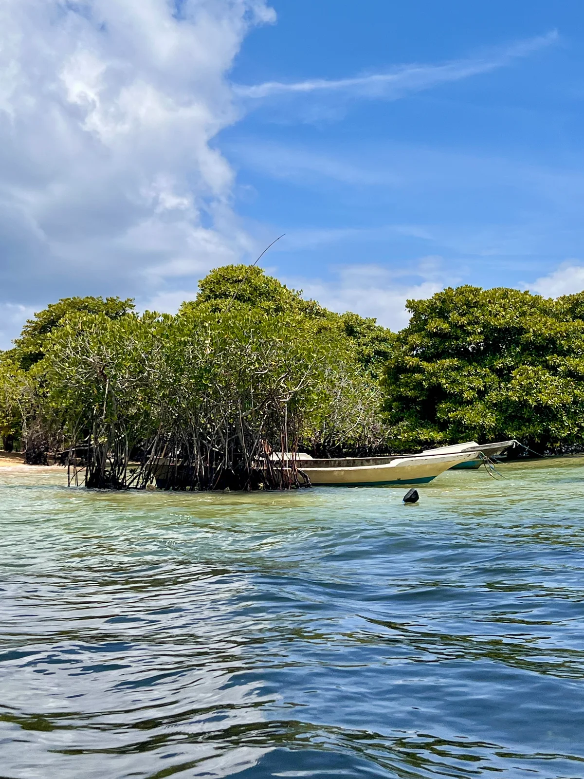 Ein kleines Boot liegt vor einer Mangroveninsel im türkisblauen Meer unter Wolkenhimmel