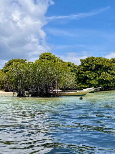 Ein kleines Boot liegt vor einer Mangroveninsel im türkisblauen Meer unter Wolkenhimmel