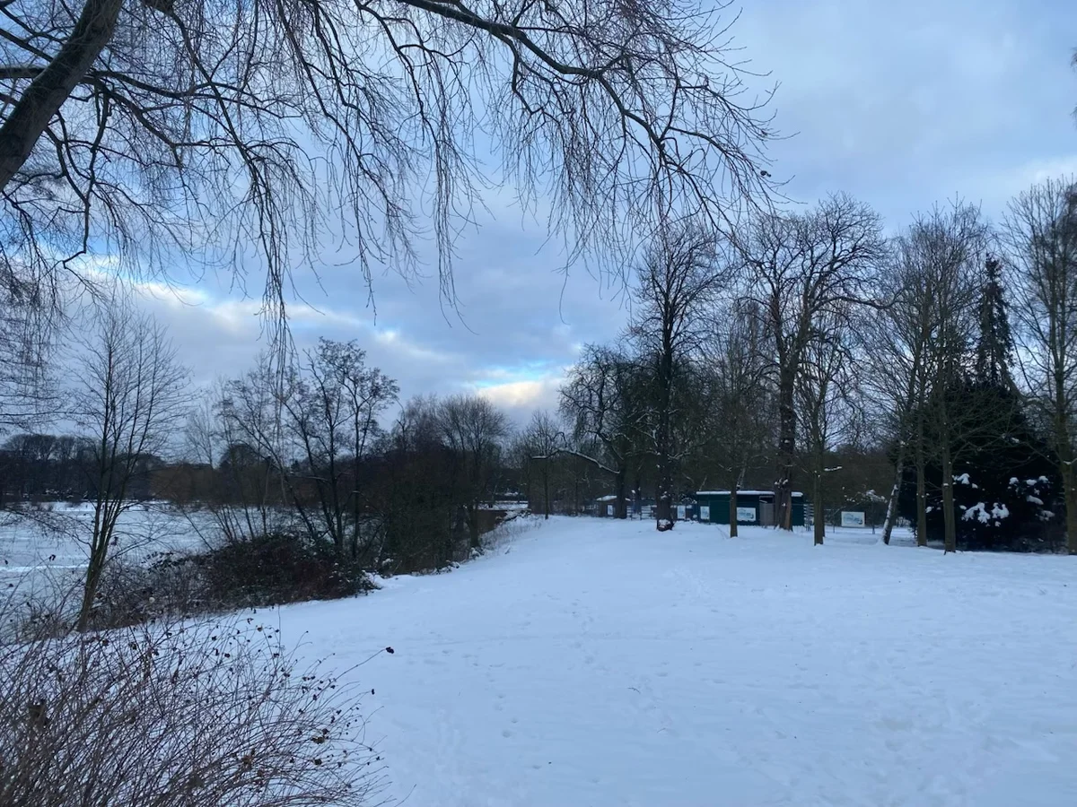 Ein stiller, verschneiter Park mit kahlen Bäumen und bedecktem Winterhimmel