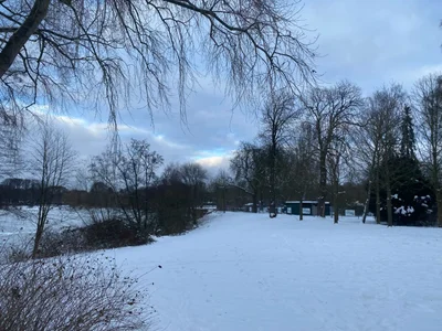 Ein stiller, verschneiter Park mit kahlen Bäumen und bedecktem Winterhimmel