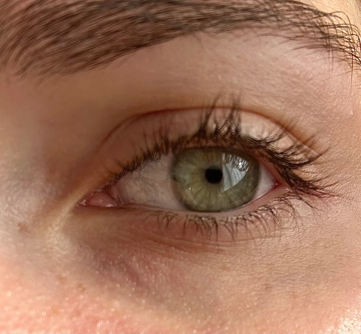 Nahaufnahme eines grünen Auges mit feinen Wimpern und natürlichem Licht