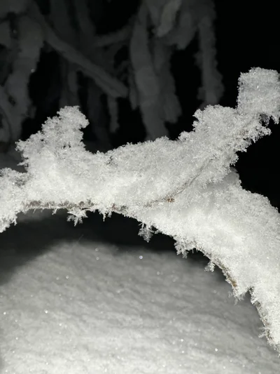 Filigrane Eiskristalle und Schnee auf einem Zweig im Schein der Nacht