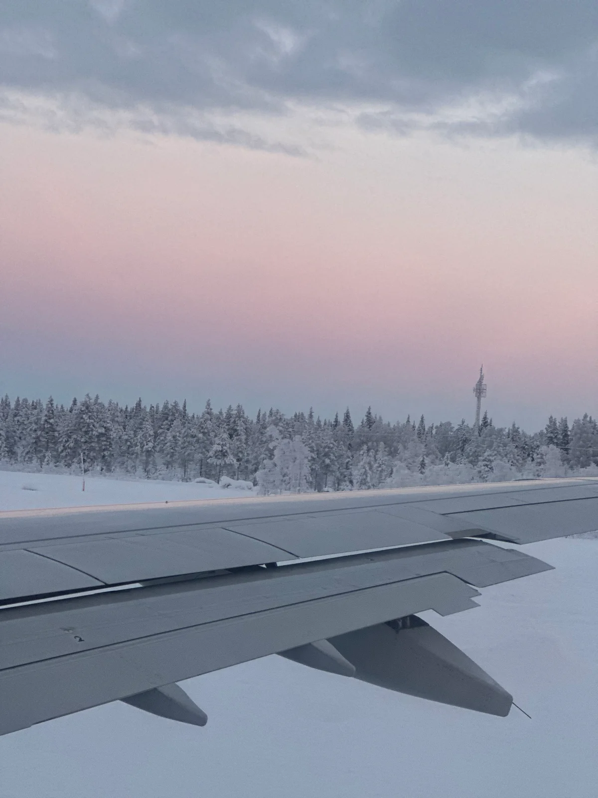 Ein Flugzeugtragflügel vor einer rosig beleuchteten Schneelandschaft mit verschneiten Bäumen
