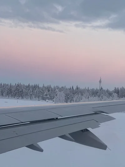 Ein Flugzeugtragflügel vor einer rosig beleuchteten Schneelandschaft mit verschneiten Bäumen
