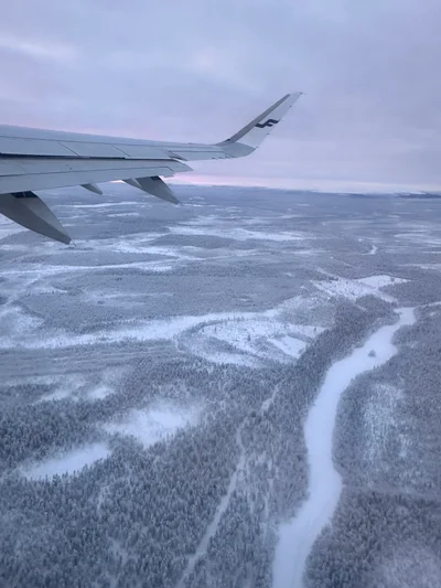 Blick aus dem Flugzeugfenster auf endlose verschneite Wälder und Berge
