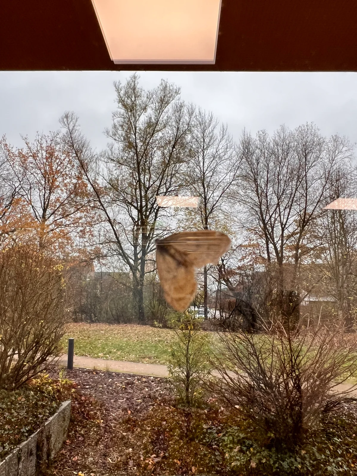 Blick durch ein Fenster auf eine Skulptur zwischen herbstlich kahlen Bäumen