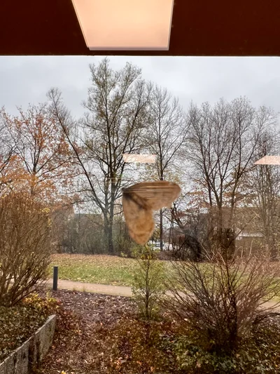 Blick durch ein Fenster auf eine Skulptur zwischen herbstlich kahlen Bäumen
