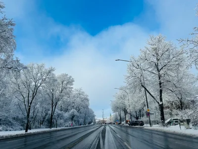 Eine breite, verschneite Allee gesäumt von Bäumen mit Raureif unter blauem Himmel