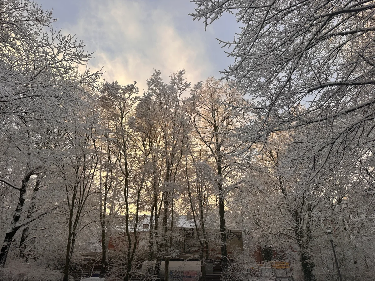 Schneebedeckte Bäume leuchten im goldenen Licht hinter einem Gebäude