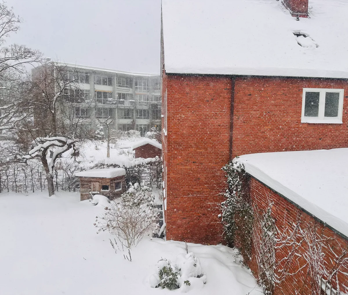 Dichter Schneefall auf Backsteinhäuser und Gärten, von oben betrachtet