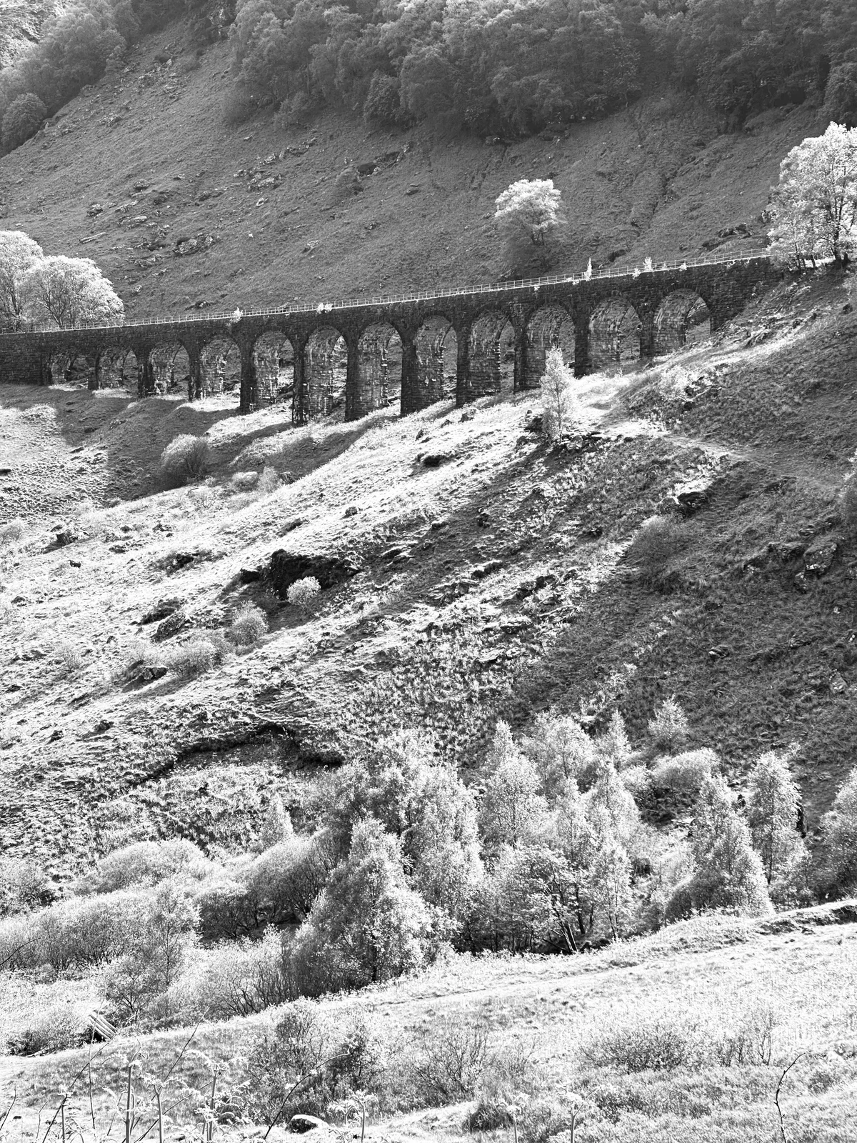 Dasselbe schottische Viadukt in dramatischem Schwarz-Weiß mit hellem Herbstlaub