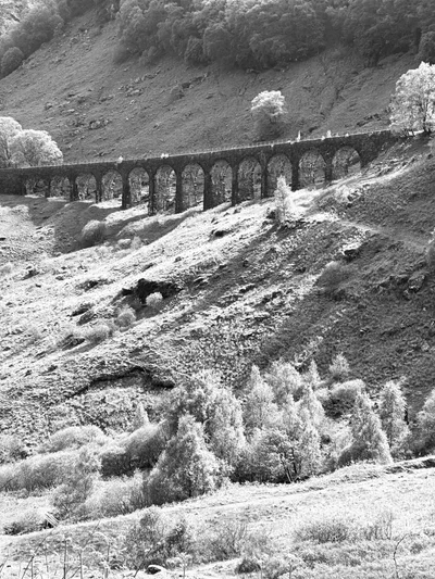 Dasselbe schottische Viadukt in dramatischem Schwarz-Weiß mit hellem Herbstlaub