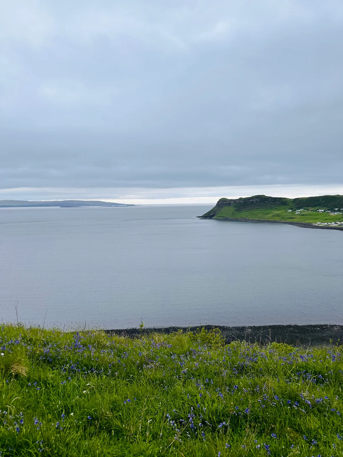 Blick über eine Bucht der Isle of Skye mit grünen Klippen und violetten Wildblumen