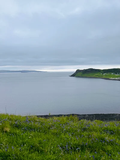Blick über eine Bucht der Isle of Skye mit grünen Klippen und violetten Wildblumen