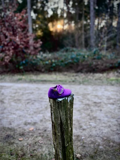 Ein einzelner lila Kinderschuh auf einem Holzpfosten im Park bei Dämmerung