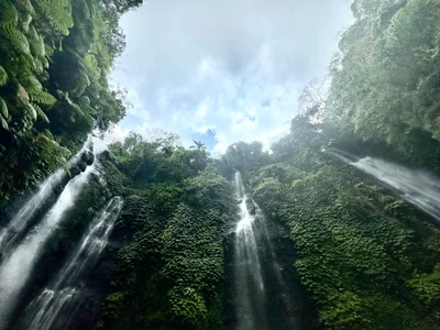 Zwei Wasserfälle ergießen sich über moosbewachsene Felsen in einem tropischen Regenwald